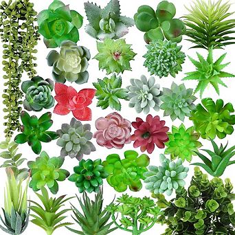 Artificial Succulent Plants Mini Assortment, Faux Realistic Decor for DIY & Home