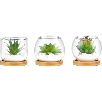 Artificial Succulents in Glass Pots, Mini Faux Plants with Bamboo Tray Decor