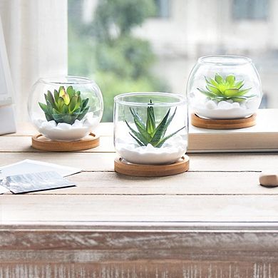Artificial Succulents in Glass Pots, Mini Faux Plants with Bamboo Tray Decor