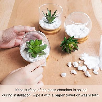 Artificial Succulents in Glass Pots, Mini Faux Plants with Bamboo Tray Decor
