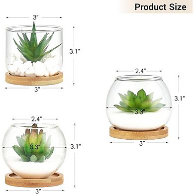 Artificial Succulents in Glass Pots, Mini Faux Plants with Bamboo Tray Decor