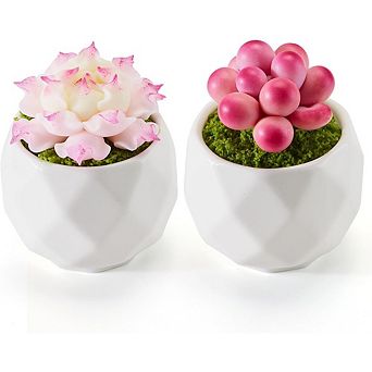 Artificial Succulent Plants in Pots, Small Faux Desk & Home Decor