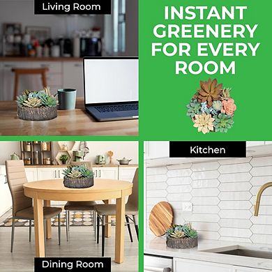 Premium Artificial Succulent Collection, Faux Cactus & Aloe Plants with Pots