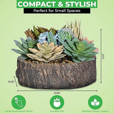 Premium Artificial Succulent Collection, Faux Cactus & Aloe Plants with Pots