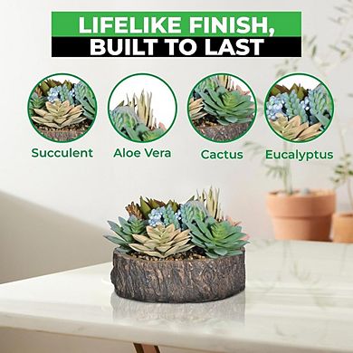 Premium Artificial Succulent Collection, Faux Cactus & Aloe Plants with Pots