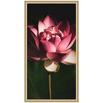 Midnight Lotus Flower by Stephanie Klatt Framed Wall Art Print