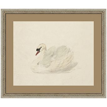 Knobbelzwaan 1792 by Aert Schouman Framed Wall Art Print