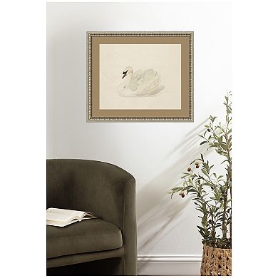 Knobbelzwaan 1792 by Aert Schouman Framed Wall Art Print