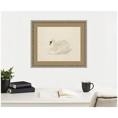 Knobbelzwaan 1792 by Aert Schouman Framed Wall Art Print