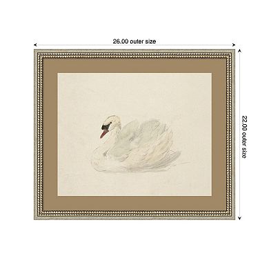 Knobbelzwaan 1792 by Aert Schouman Framed Wall Art Print
