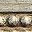 Castellan Silver