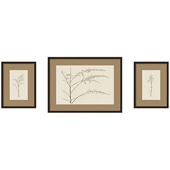 Botanical Sketch Neutrals 3 pc Framed Wall Art Print Set by Stephanie Klatt
