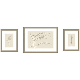 Botanical Sketch Warm 3 pc Framed Wall Art Print Set by Stephanie Klatt