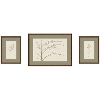 Botanical Sketch Olive 3 pc Framed Wall Art Print Set by Stephanie Klatt