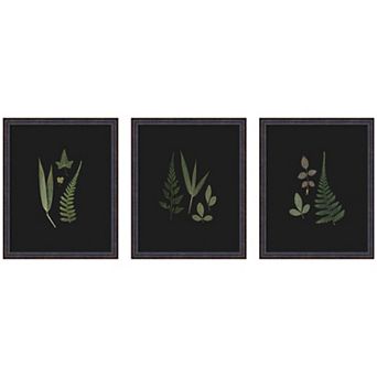 Botanical Leaf Study 3 pc Framed Wall Art Print Set by Stephanie Klatt