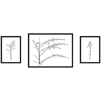 Botanical Sketch Black White 3 pc Framed Wall Art Print Set by Stephanie Klatt