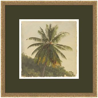 Coconut Palm by Jamaica Frederic Church Framed Wall Art Print