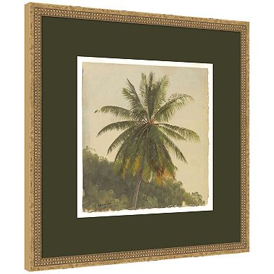 Coconut Palm by Jamaica Frederic Church Framed Wall Art Print