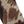 Brown Fish
