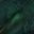 Blackish Green