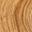 Brown F