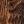 Dark Brown C