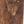 Dark Brown D