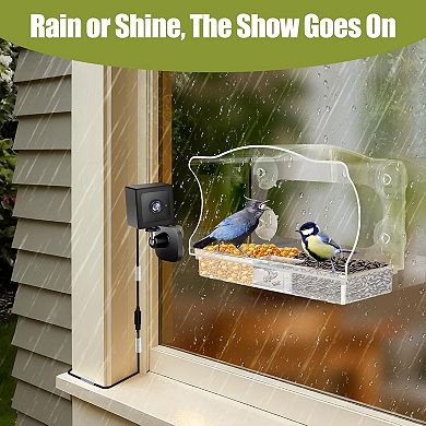Coolfly x Freeseason - 2K HD Smart Window Bird Camera with AI ID and Suction Mount