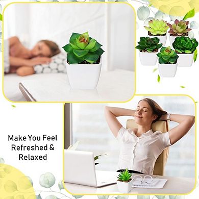 Artificial Succulent Plants in Pots, Mini Faux Indoor Desk Decor