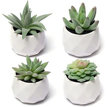 Artificial Succulent Plant Set, Mini Faux Ceramic Pots for Desk & Home Decor