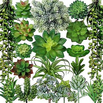 Assorted Artificial Succulents, Faux Aloe & Cactus Picks for DIY Decor
