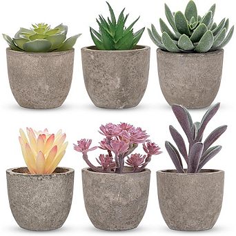 Artificial Succulents in Paper Pots, Mini Faux Cactus Plants for Shelf Decor