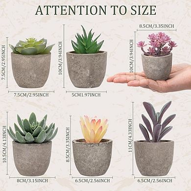 Artificial Succulents in Paper Pots, Mini Faux Cactus Plants for Shelf Decor