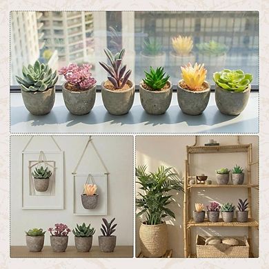 Artificial Succulents in Paper Pots, Mini Faux Cactus Plants for Shelf Decor