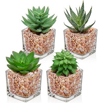 Mini Artificial Succulents, Potted Faux Plants in Glass Vase for Home Decor