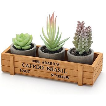 Mini Potted Artificial Succulents, Faux Assortment with Wood Planter Box Decor
