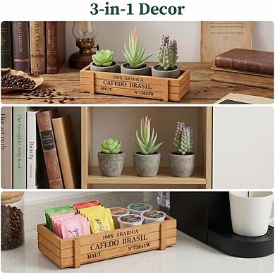 Mini Potted Artificial Succulents, Faux Assortment with Wood Planter Box Decor