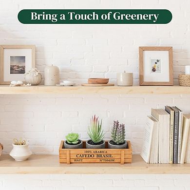 Mini Potted Artificial Succulents, Faux Assortment with Wood Planter Box Decor