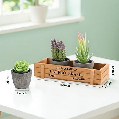 Mini Potted Artificial Succulents, Faux Assortment with Wood Planter Box Decor
