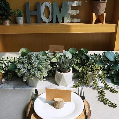 Artificial Succulent Plants in Ceramic Pots, Small Faux Aloe & Pearls Decor