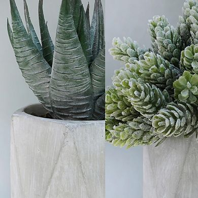 Artificial Succulent Plants in Ceramic Pots, Small Faux Aloe & Pearls Decor