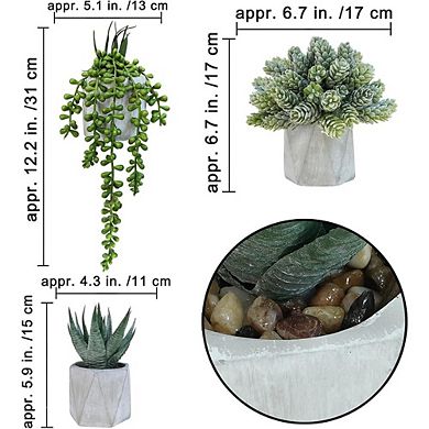 Artificial Succulent Plants in Ceramic Pots, Small Faux Aloe & Pearls Decor