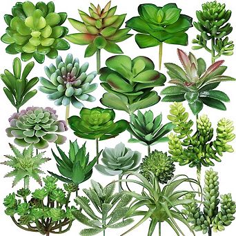 Assorted Artificial Succulents, Faux Cactus Echeveria Picks for Craft Decor