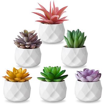 Artificial Succulent Plant Set, 6 pc Mini Faux Potted Decor for Home & Office