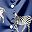 Navy Zebra