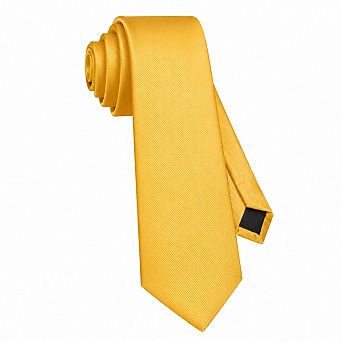 Live2Pedal Mens Solid Color Formal Neckties Handmade Twill Gift Wedding Business
