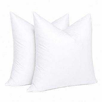 Feather Down Throw Pillow Inserts 22x22 Pack of 2 White