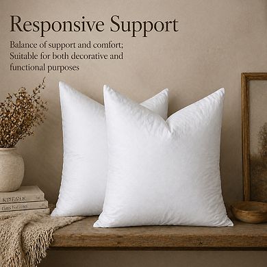 Feather Down Throw Pillow Inserts 22x22 Pack of 2 White