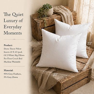 Feather Down Throw Pillow Inserts 22x22 Pack of 2 White