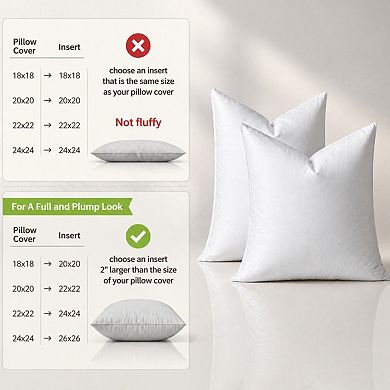 Feather Down Throw Pillow Inserts 22x22 Pack of 2 White